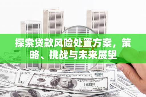 临潼探索贷款风险处置方案，策略、挑战与未来展望