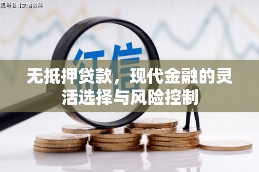 富源无抵押贷款，现代金融的灵活选择与风险控制
