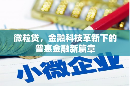 施甸微粒贷，金融科技革新下的普惠金融新篇章