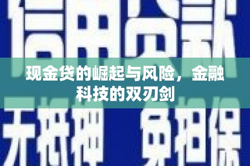 西畴现金贷的崛起与风险，金融科技的双刃剑
