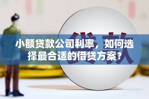 登封小额贷款公司利率，如何选择最合适的借贷方案？