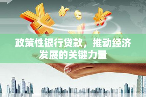 黔东南政策性银行贷款，推动经济发展的关键力量