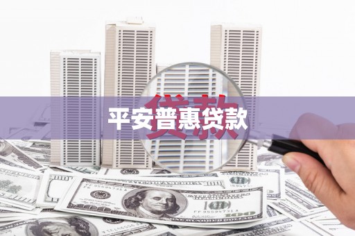 中和平安普惠贷款