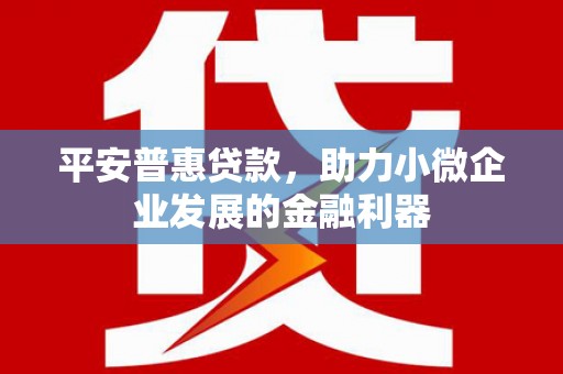 泰州平安普惠贷款，助力小微企业发展的金融利器
