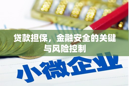 竹南贷款担保，金融安全的关键与风险控制