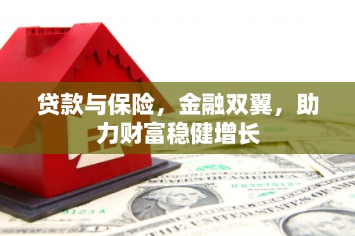 依兰贷款与保险，金融双翼，助力财富稳健增长