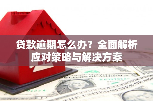 莱西贷款逾期怎么办？全面解析应对策略与解决方案