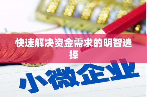 西和快速解决资金需求的明智选择