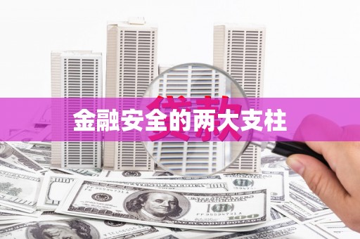 海安金融安全的两大支柱