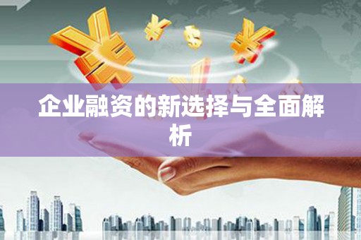 西海岸企业融资的新选择与全面解析