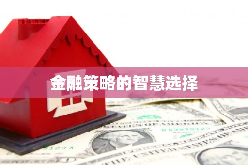 长宁金融策略的智慧选择